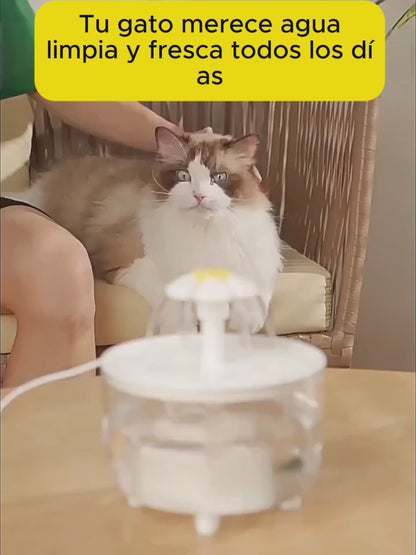 Fuente de Agua USB para mascotas