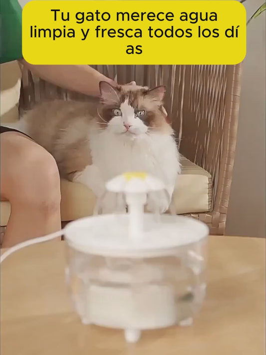 Fuente de Agua USB para mascotas